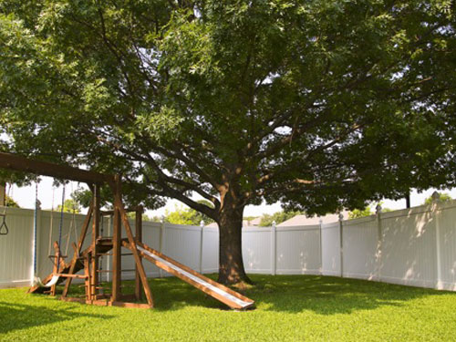 backyard white fence